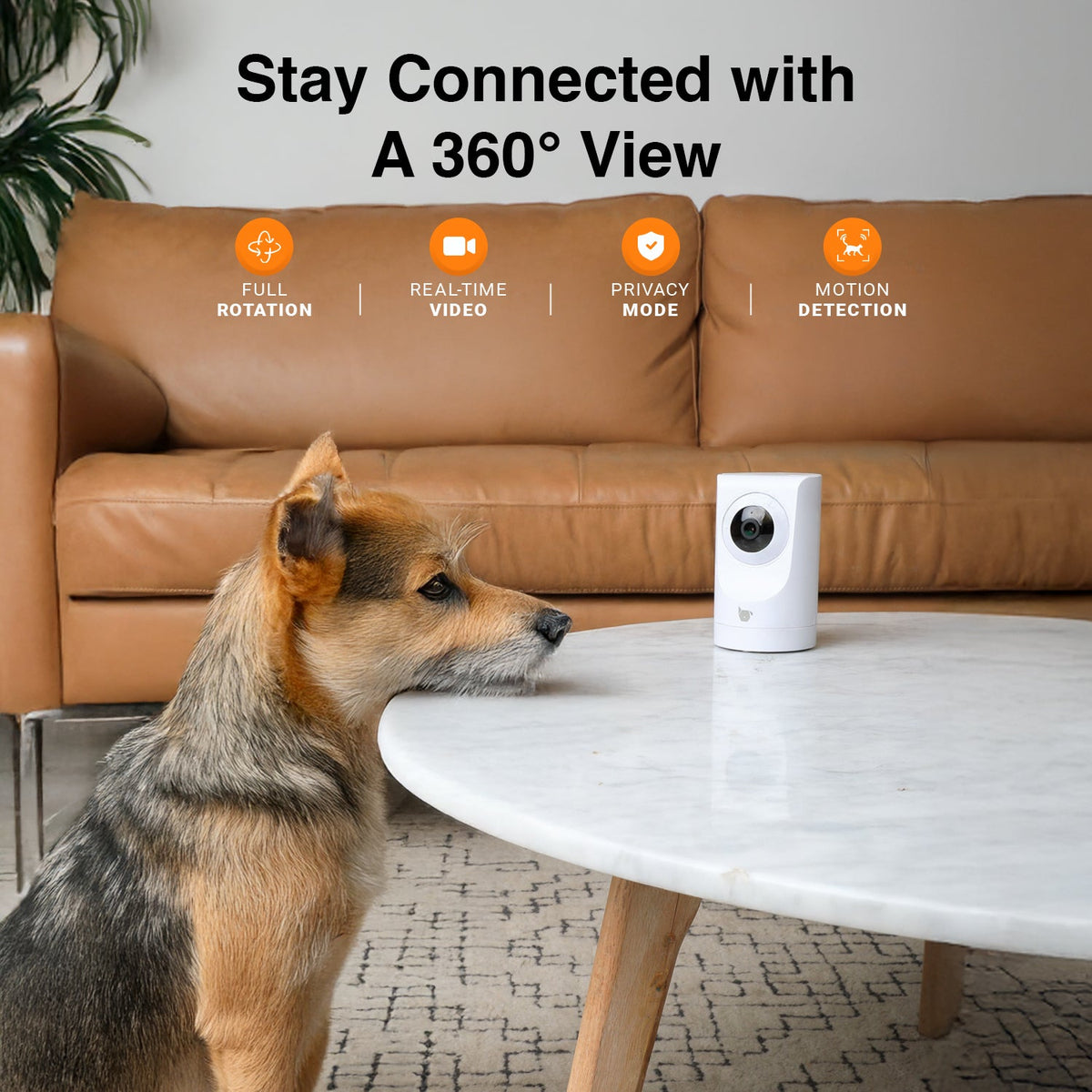 Purrsight 360° Smart App Pet Camera with Night Vision and 2 Way Audio 2pc Bundle