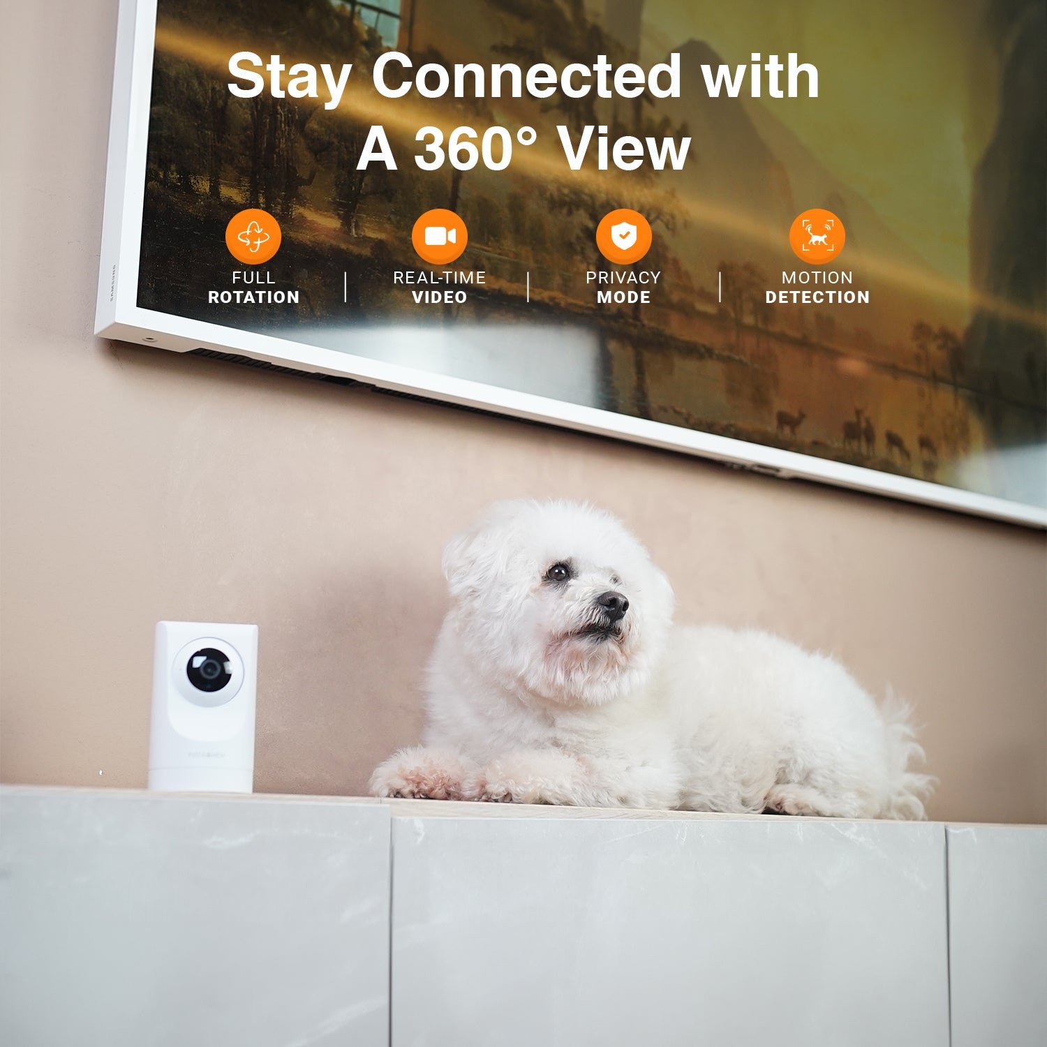 Purrsight 360° Smart App Pet Camera with Night Vision and 2 Way Audio 4pc Bundle