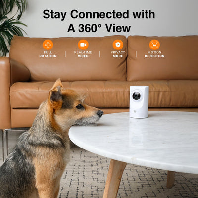 Purrsight 360° Smart App Pet Camera with Night Vision and 2 Way Audio 2pc Bundle