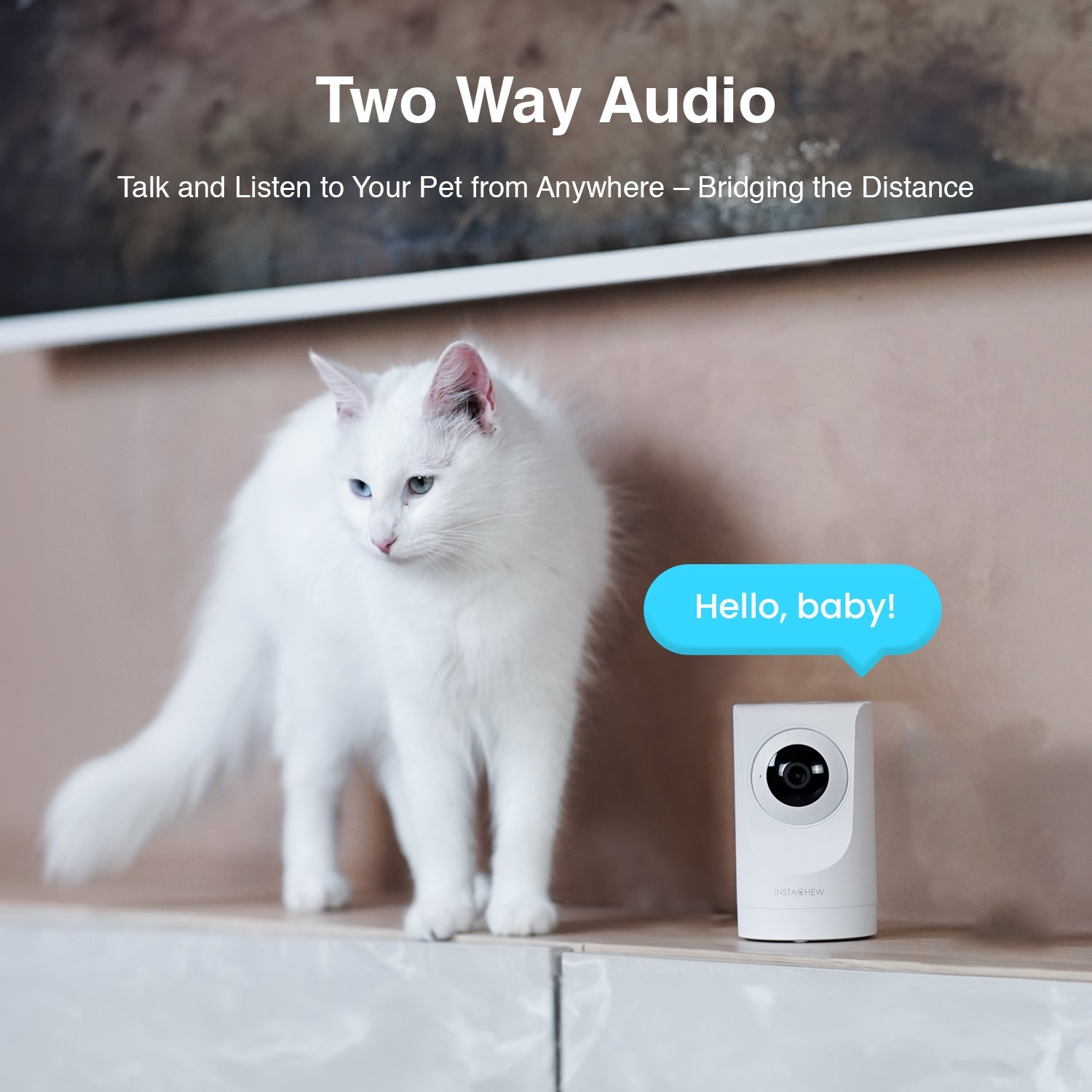 Purrsight 360° Smart App Pet Camera with Night Vision and 2 Way Audio 4pc Bundle