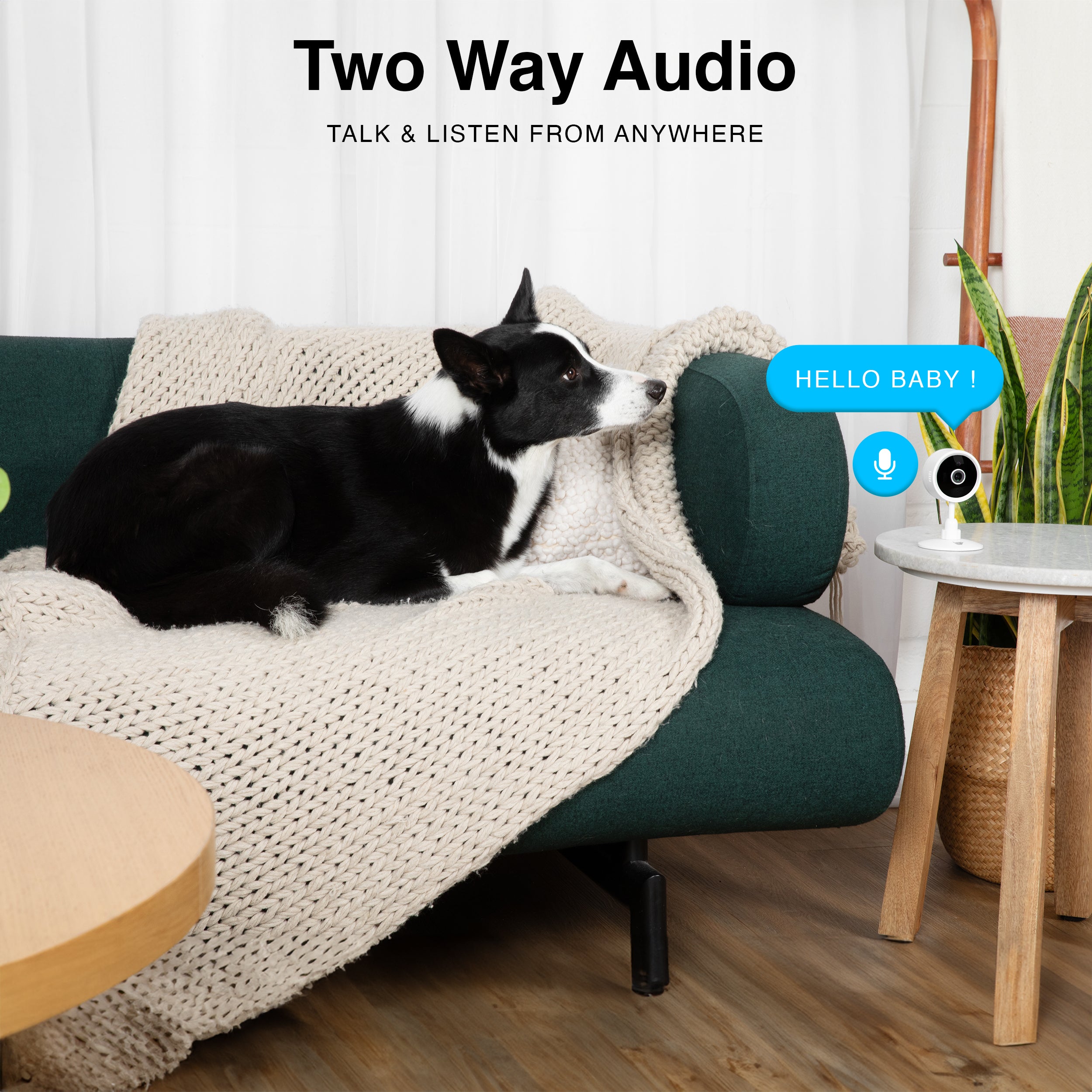 Purrsight Mini Smart Indoor Security Camera with Two-Way Audio